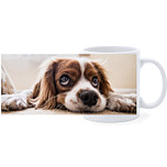 Beker - Cocker Spaniel Hond Liggend op Snuit