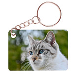Sleutelhanger 6x4cm - Poes Wit/Tijger met Blauwe Ogen