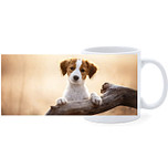 Beker - Kooikerhondje Pup opTak