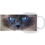 Beker - Siamees kat Close-up