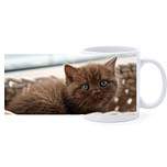 Beker - Britse Langhaar Kat Bruin met Blauwe ogen