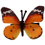 Haarclipje met stoffen vlinder vlindertje oranje - 6 cm 