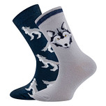 Dubbelpak Kindersokken Grijs en Blauw met Wolven