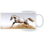 Beker - Paard Wit Schimmel Arabier in Galop