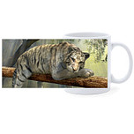 Beker - Tijger op Tak