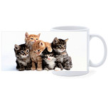 Beker - Groepje Kittens Rode Katertjes en Getijgerd