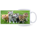 Beker - Groepje Kittens op Gras