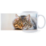 Beker - Poes Getijger Liggend