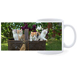 Beker - Mand met Kittens in Tuin