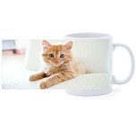 Beker - Kitten Rood op Witte Bank