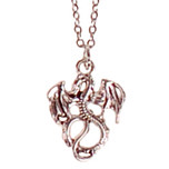 Ketting RVS Zilverkleurig 55cm - Hangertje Draakje Zilverkleurig 2cm