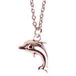 Ketting RVS Zilverkleurig 55cm - Hangertje Dolfijntje Enkel Zilverkleurig 2cm