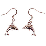 Oorbellen Zilverkleurig - Hangertjes Dolfijntje Enkel Zilverkleurig 2cm