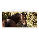 Spaarpot - Bruin Paard - Kijkt achterom