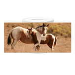 Spaarpot - Paarden Paint Merrie met Veulen Bruin gevlekt