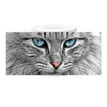 Spaarpot - Grijze Noorse Boskat - Closeup