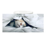 Spaarpot - Poes Slapend onder Laken