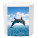 Spaarpot - 2 Dolfijnen in Sprong