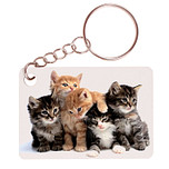 Sleutelhanger 6x4cm - Groepje Kittens Rode Katertjes en Getijgerd
