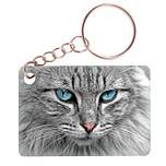 Sleutelhanger 6x4cm - Grijze Noorse Boskat - Closeup