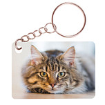 Sleutelhanger 6x4cm - Poes Getijger Liggend