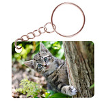 Sleutelhanger 6x4cm - Kitten in Tuin achter Boom