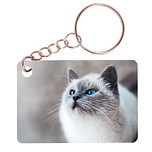 Sleutelhanger 6x4cm - Poes Lichtgekleurd met Blauwe Ogen