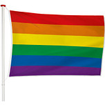 Regenboogvlag - 150x90cm