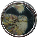 Pillendoosje Kim Haskins katten - Regenboog kat - 5x2cm