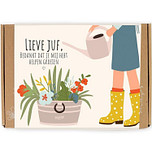 Blossombs Bloem Bommetjes giftbox - 7 Stuks - Lieve Juf