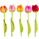 Vilten Tulp Complete set van 5 stuks - Roze/Geel/Fuchsia/Rood op Groene Steel - 32cm