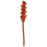 Vilt Tak Bloem - Opstaande Kelkjes - Oranjebruin/Cognac - 40cm - Fairtrade Homedecoratie