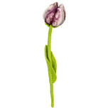 Vilt Bloem - Tulp "Pipa" Paars/Wit - 40cm - Fairtrade Homedecoratie