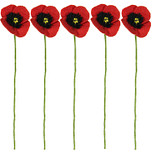 Vilt Bloemen - Klaprozen Rood Poppy  - Set 5 stuks - 40cm - Fairtrade Homedecoratie
