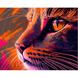 Schilderen op Nummer Set - Poes Close-up - incl. Verf & Penselen - 40x50cm