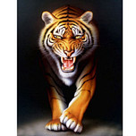 Schilderen op Nummer Set - Tijger Schaduw - incl. Verf & Penselen - 40x50cm