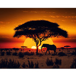 Diamond Painting Set - Savanne Sunset Boom Olifant - incl. Pen & Wax - 40x50cm