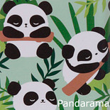 pandarama
