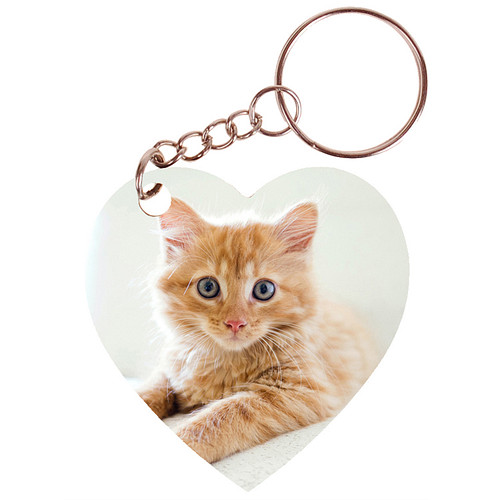 Sleutelhanger hartje 5x5cm - Kitten Rood op Witte Bank