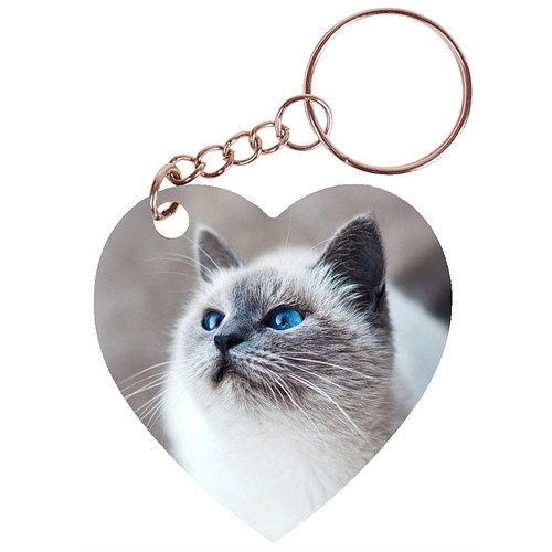 Sleutelhanger hartje 5x5cm - Poes Lichtgekleurd met Blauwe Ogen