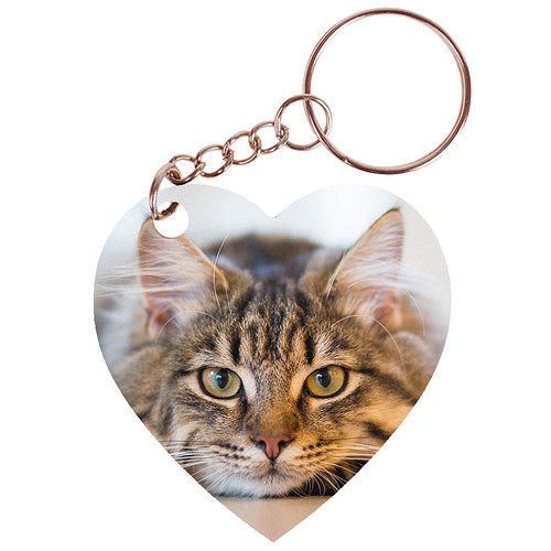Sleutelhanger hartje 5x5cm - Poes Getijger Liggend