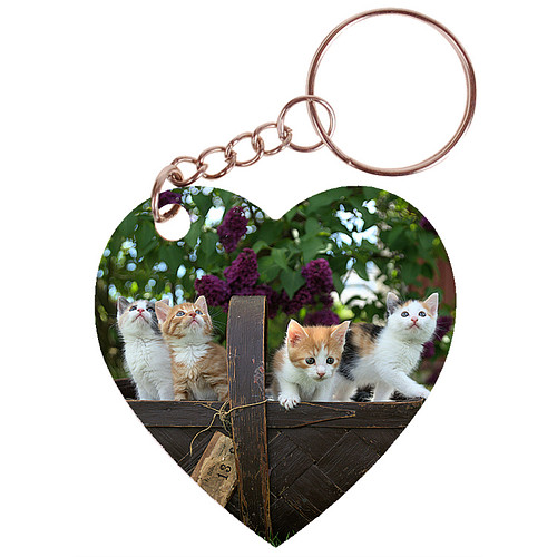 Sleutelhanger hartje 5x5cm - Mand met Kittens in Tuin