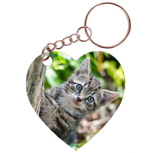 Sleutelhanger hartje 5x5cm - Kitten in Tuin achter Boom