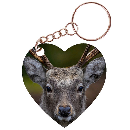 Sleutelhanger hartje 5x5cm - Hert - Close up