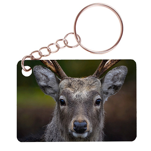Sleutelhanger 6x4cm - Hert - Close up