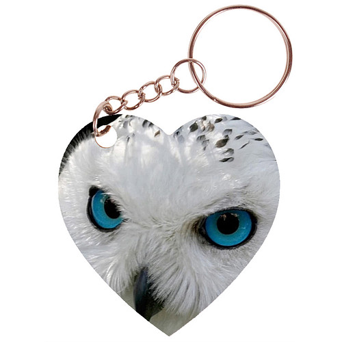 Sleutelhanger hartje 5x5cm - Sneeuwuil - Close up