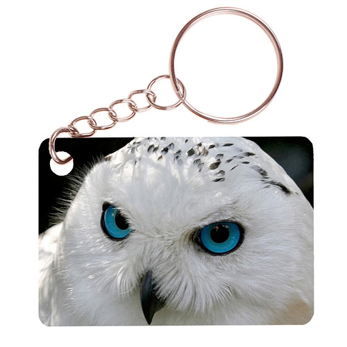 Sleutelhanger 6x4cm - Sneeuwuil - Close up