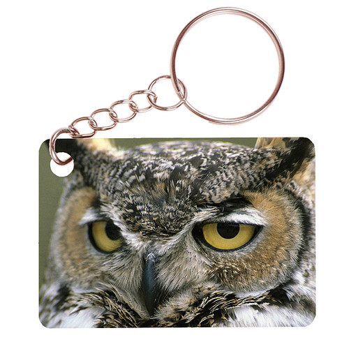 Sleutelhanger 6x4cm - Oehoe Uil - Close up