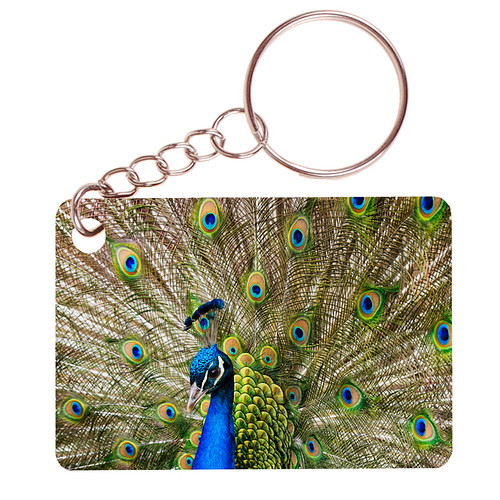 Sleutelhanger 6x4cm - Pauw met Uitstaande Veren