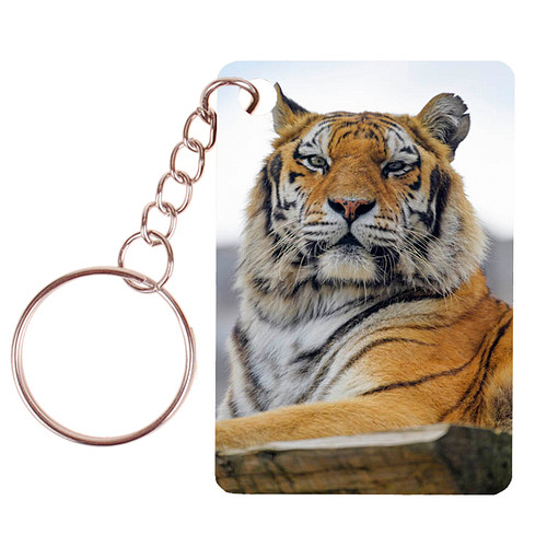 Sleutelhanger 6x4cm - Tijger op Rots